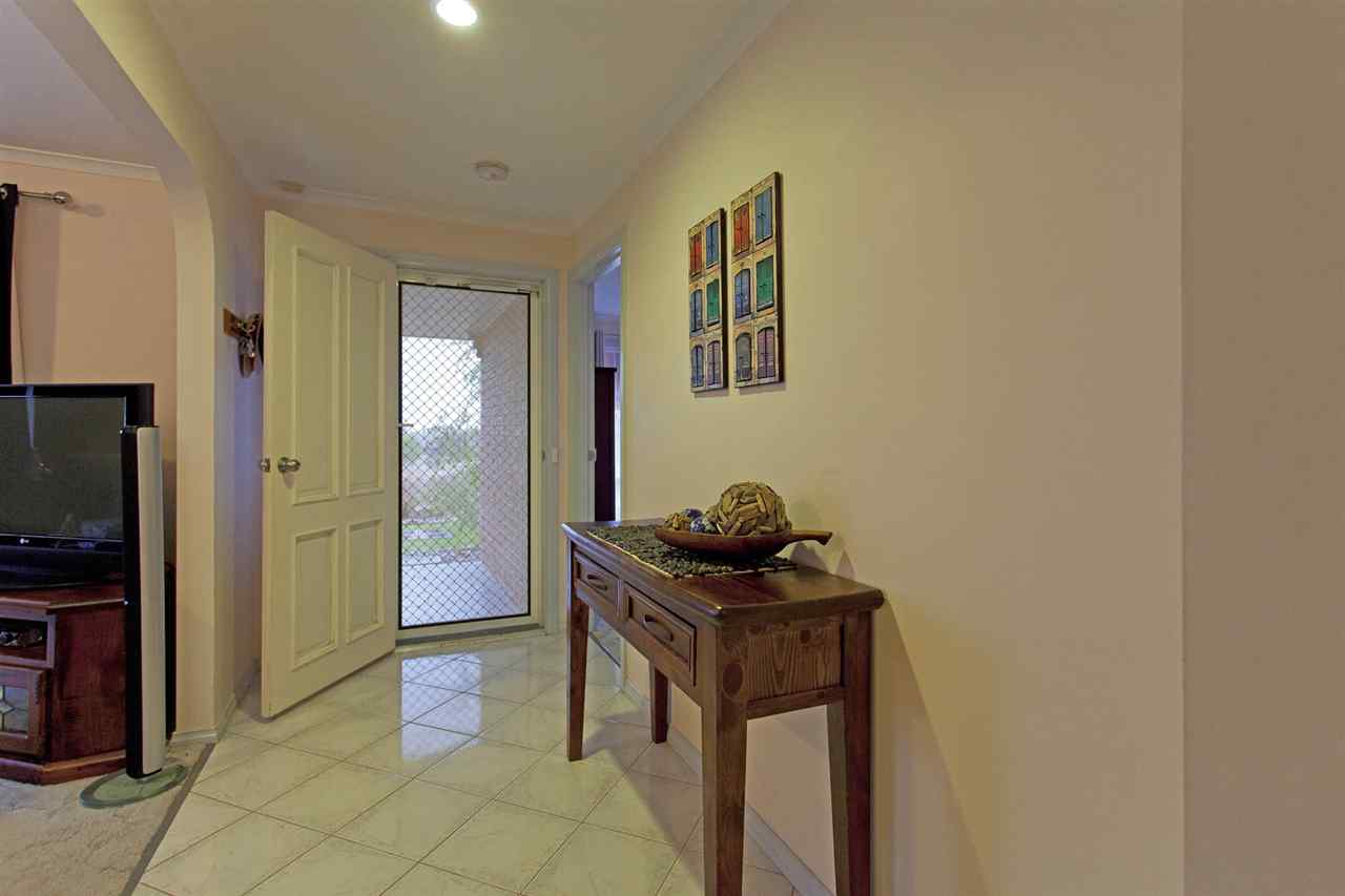 resized-2349823-edit11 kingfisher 60.JPG